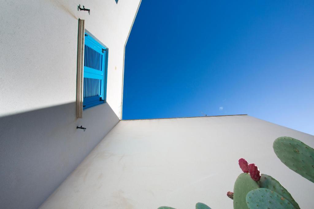 Terra Del Sole * Favignana